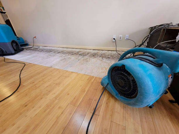 Professional Structural Drying technician working in New Florence, MO